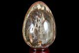 Colorful, Polished Petrified Wood Egg - Triassic #74738-1